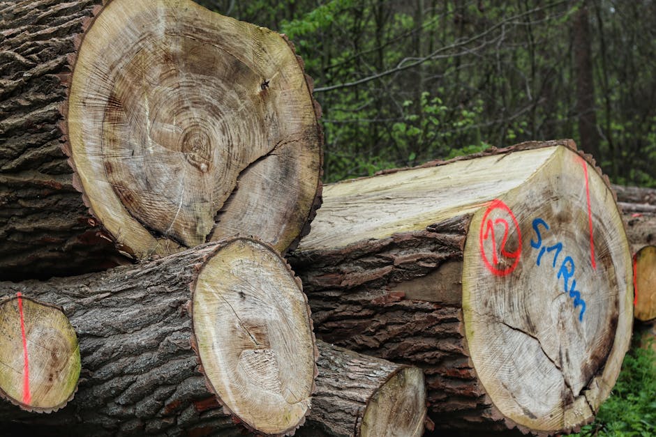 Natural wooden logs representing foundational strength